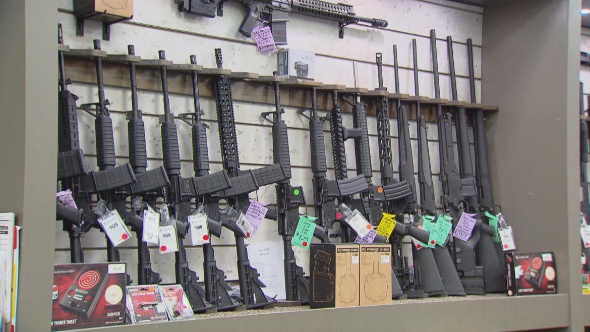 Gun_store_FILE_C2N